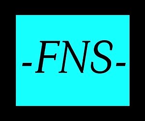 Fns - aasia v03