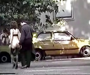 Amatöör harv klassikaline Saksa ori avalikult (camaster)